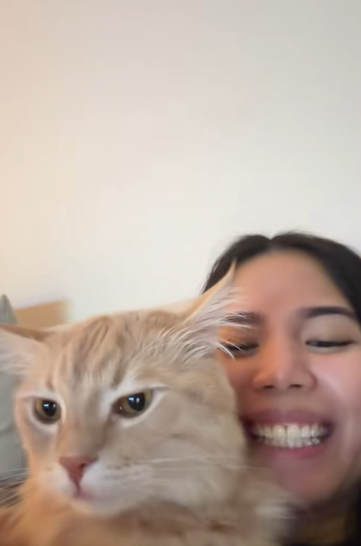 Osvojila je TikTok: Ova narandžasta maca peva u duetu sa svojom vlasnicom (VIDEO)