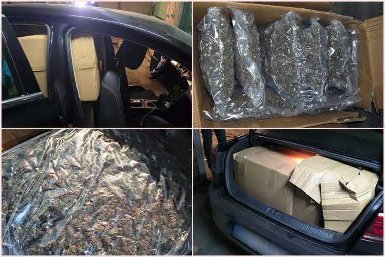 Zaplena godine! 100 kilograma marihuane pronađeno u Beogradu - oglasio se Dačić!