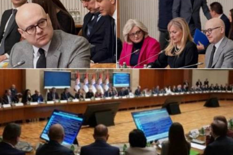 "U izazovnim geopolitičkim vremenima Srbija nastavlja da se razvija" Vučević: Mir i bolji život svih građana apsolutni su prioritet