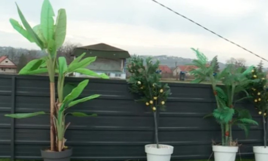 Sestra Bore Santane razvezala jezik o bivšoj snajki: Milici je svaku operaciju platio!