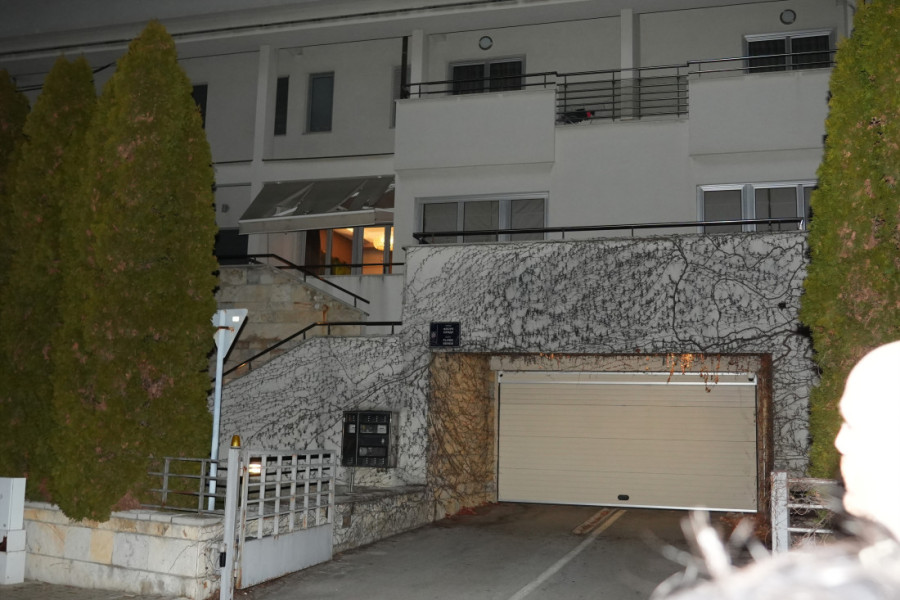 Prve fotke Karleuše iz stana gde je Duško promenio brave: "Ključevi su vraćeni, kao i životinje i kućne pomoćnice"