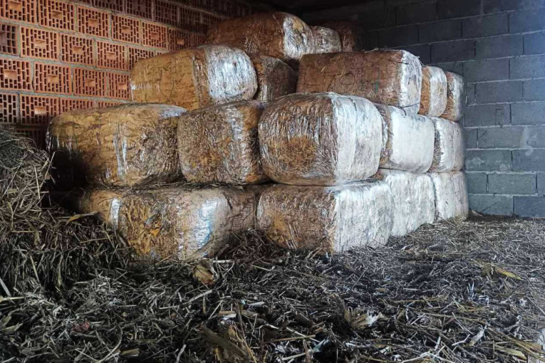 Ovo je bio mrtvi biznismen: Unuk srpskog krvnika iz Njujorka, vojnik Haradinaja (VIDEO)