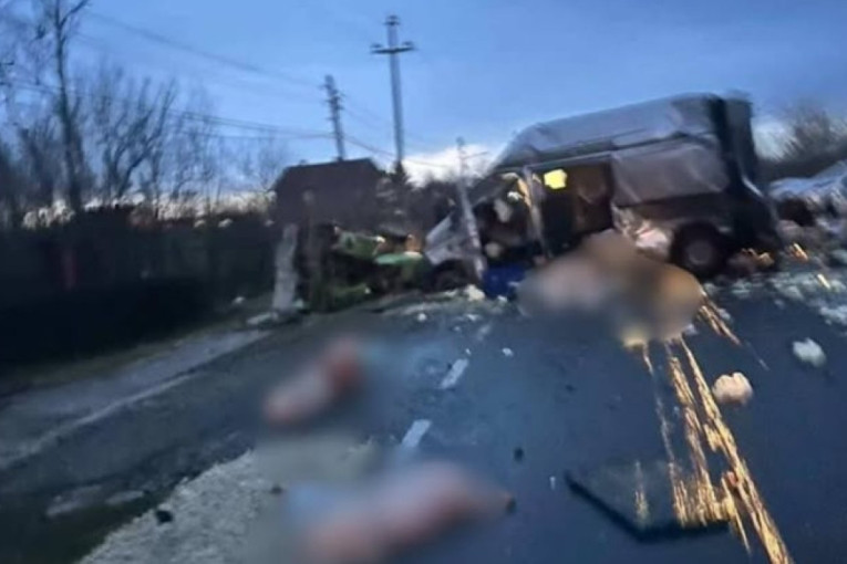 Drama na putu kod Smedereva: Sudarili se kombi, traktor i automobil, prasići ispali iz vozila