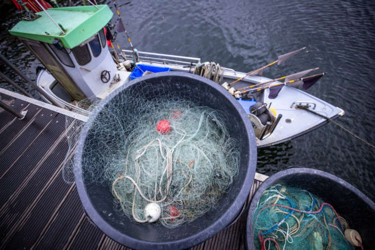 Evropa u problemu! Preti joj nestašica ribe zbog novog načina provere, tržišta već na udaru