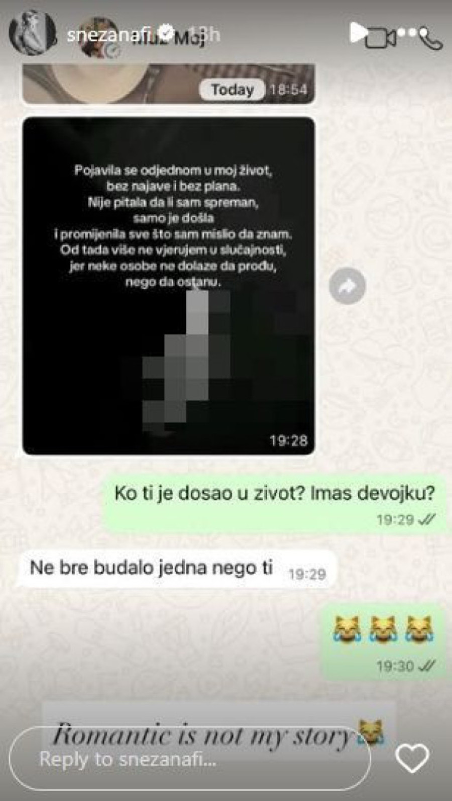 "Ko ti je došao u život? Imaš devojku?" Prepiska Snežane i Milana Borjana o kojoj se priča! (FOTO)