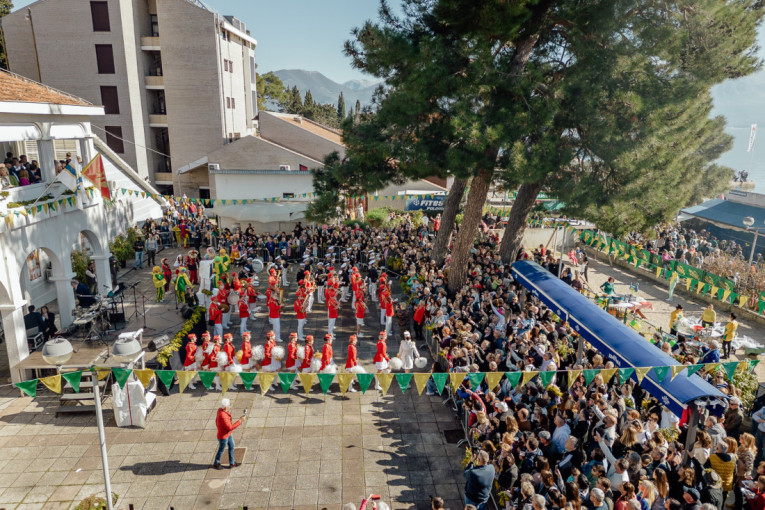 Herceg Novi poziva na 57. Praznik mimoze: Prvog vikenda velika fešta na rivijeri i nastupi regionalnih zvezda