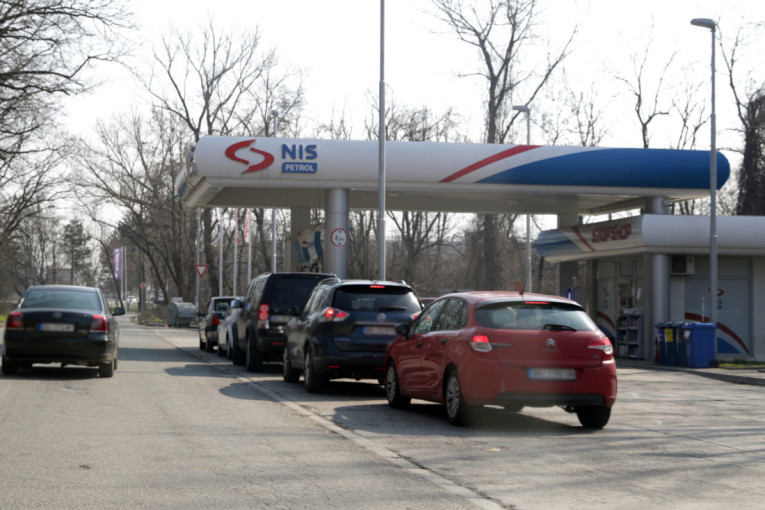 Snimak obišao svet! Medved završio na vrhu telefonskog stuba, spasioci nisu mogli da mu pomognu