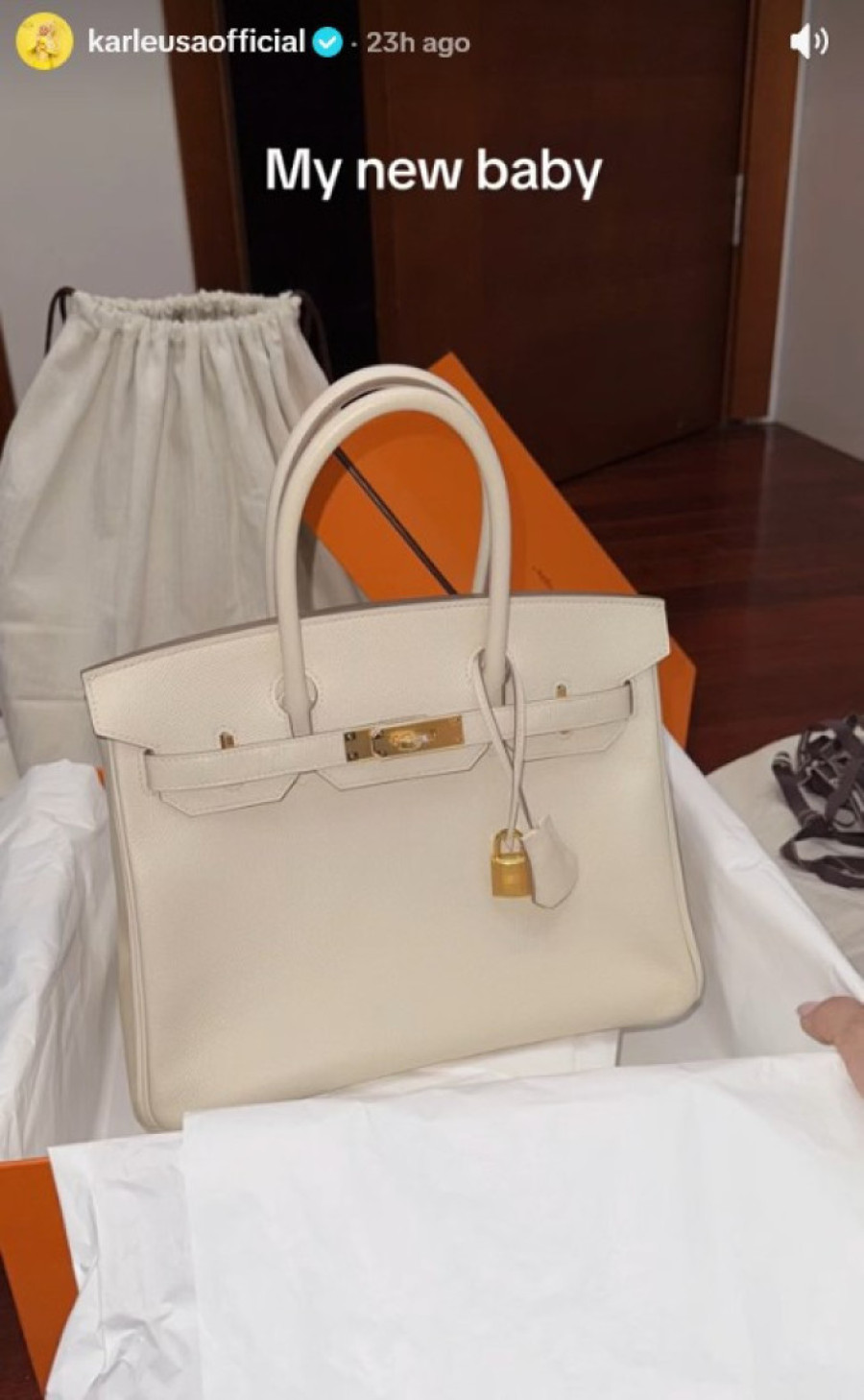 Karleuša se pohvalila tašnom koju mnoge žene jure: Pukla i više od 30.000 evra na nju! (FOTO)