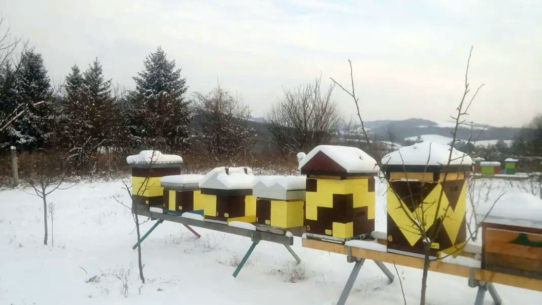 Upoznajte Dragana: Evo po čemu je prvi u Srbiji, a početak se krije u radoznalosti (FOTO)