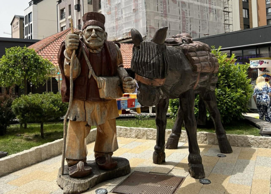 Retko lepa slika iz ivanjičkog kraja: Lovci tokom potrage za divljom svinjom naišli na nešto neočekivano