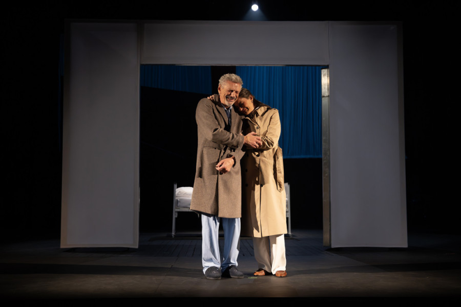 Predstava "Otac" u Narodnom pozorištu: Potresna priča o borbi sa demencijom (FOTO)