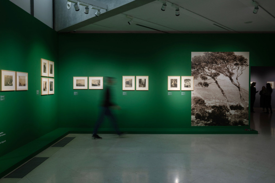 Besplatan ulaz, uz izuzetno bogat program, u Muzeju savremene umetnosti povodom Dana državnosti (FOTO)