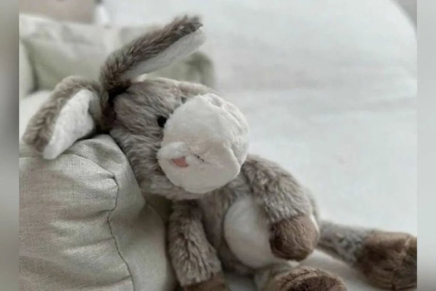 Roditelji, oprez! Povlači se ova igračka iz prodaje!