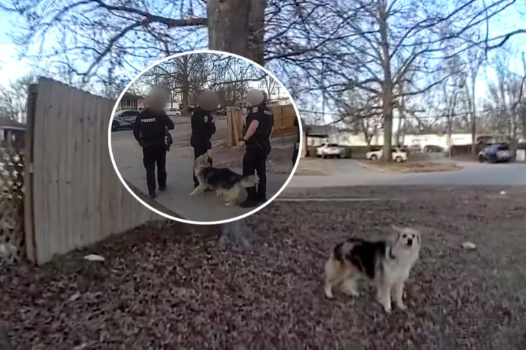 Komšijski pas lavežom doveo policiju do nestalog trogodišnjaka, snimak oduševio ljude širom sveta