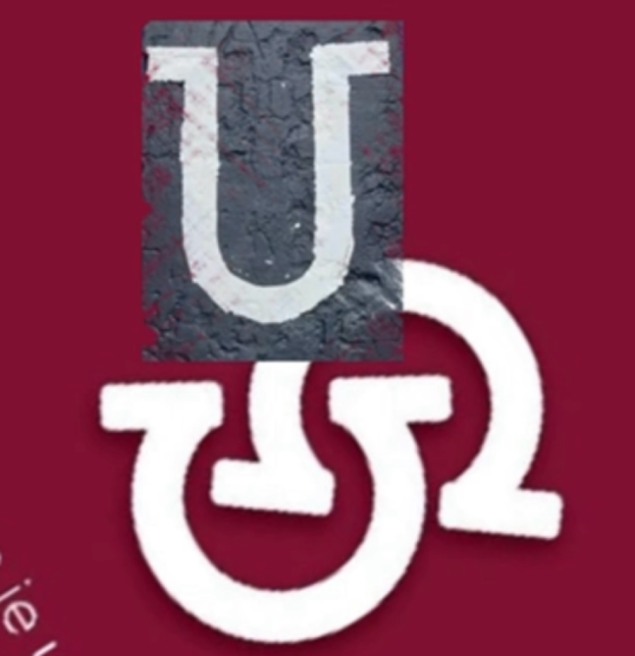 Zašto logo sa FTN neodojivo podseća na simbol ustaštva?