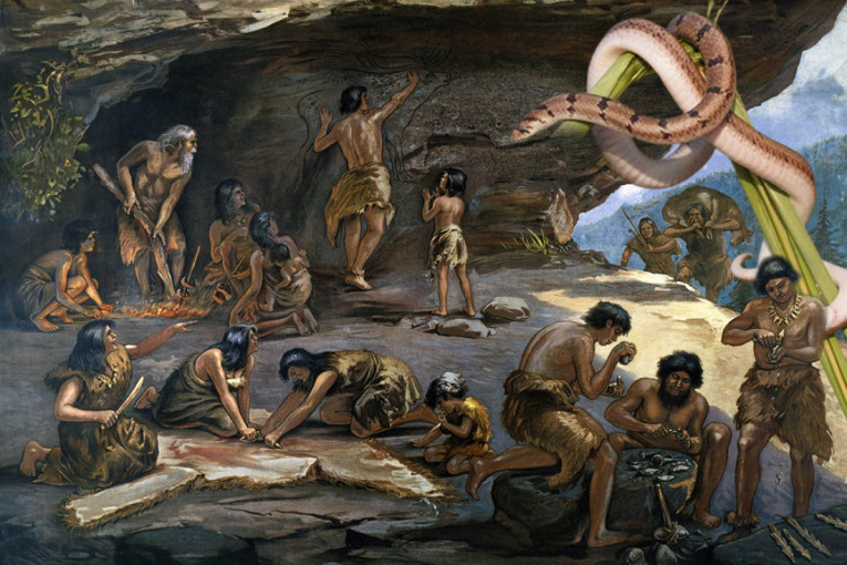 Zaboravite sve što ste mislili da znate o gusenicama: Ova vrsta je pravi „horor ubica“ iz sveta insekata