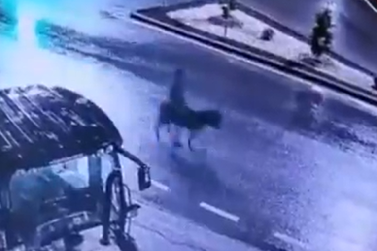 Lopov provalio u zlataru viljuškarom, pokupio plen, pa utekao na magarcu! Nadzorne kamere snimile sve (VIDEO)