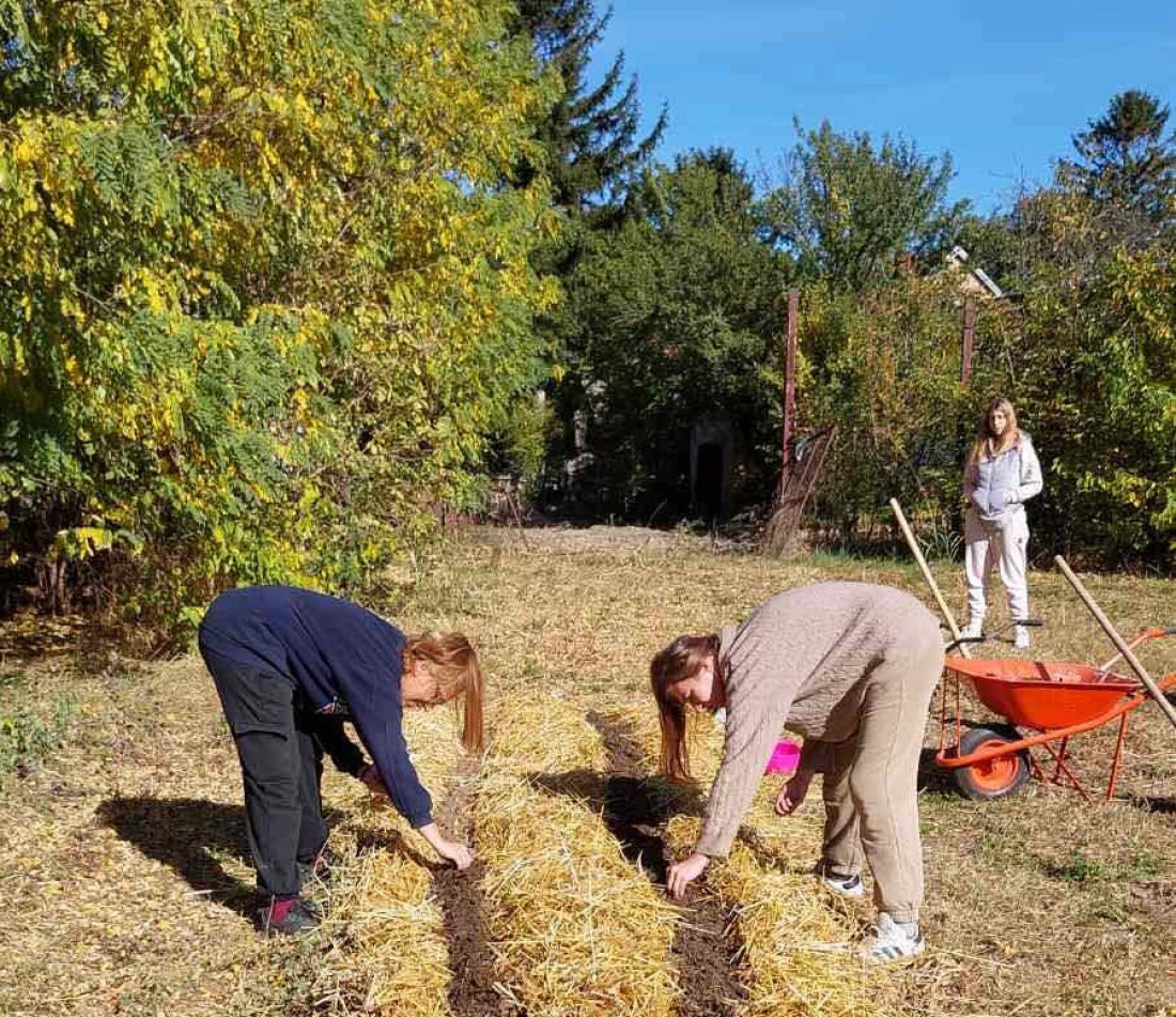 Mlada umetnica beogradski asfalt zamenila ravnicom: U Gajdobru došla zbog kuće, ali je onda nešto pronašla (FOTO)