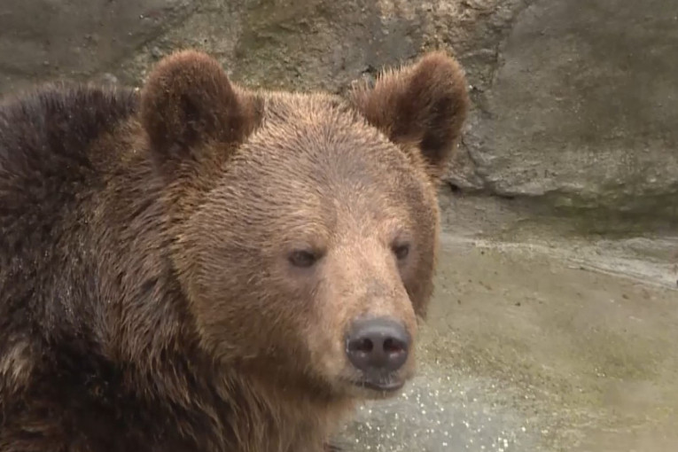 Kvadrat u Beogradu ide ka 4.000 evra do kraja 2026.