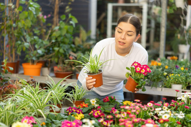 Neka cveće govori umesto vas za Dan žena: Tajni simboli svakog cveta, a nije svejedno ni koje je boje
