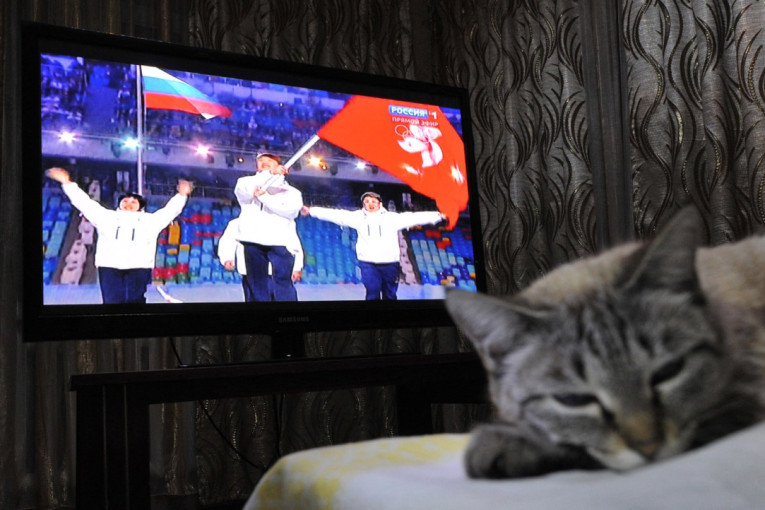 Mnoge mačke obožavaju TV, ali vlasnici ne znaju da to može da bude štetno po njih