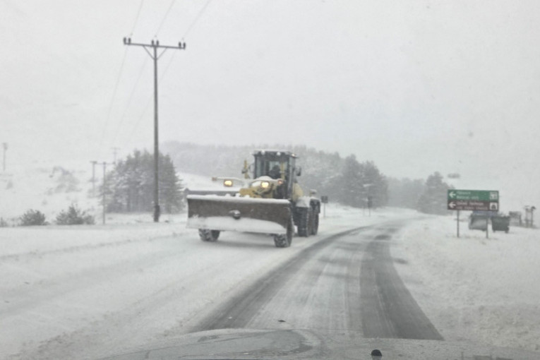 Sneg okovao zapadnu Srbiju! Na putu Tara - Bajina Bašta srušeno drveće! (FOTO/VIDEO)