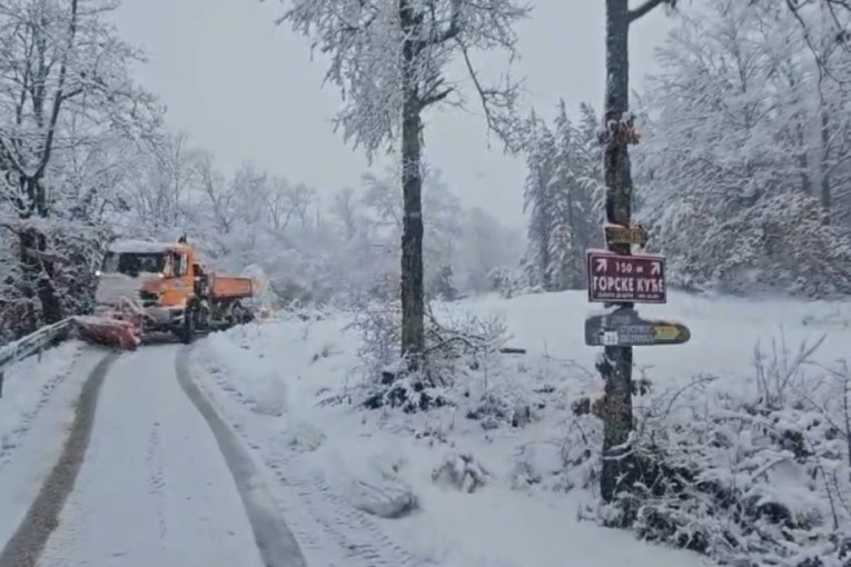 Sneg okovao zapadnu Srbiju! Na putu Tara - Bajina Bašta srušeno drveće! (FOTO/VIDEO)