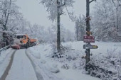 Sneg okovao zapadnu Srbiju! Na putu Tara - Bajina Bašta srušeno drveće! (FOTO/VIDEO)