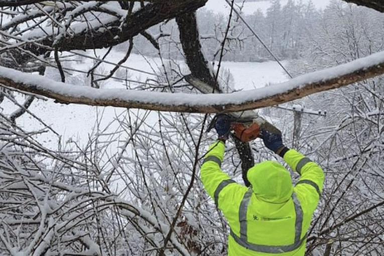 Koja se želi domaćicom zvati - ovo mora znati: Mira iz Čačka je majstor u razvijanju kora za domaću pitu (FOTO)