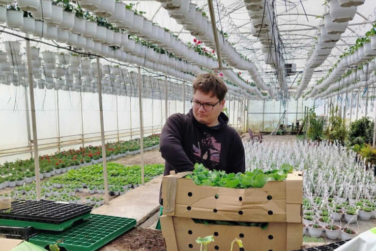 Iz plastenika do velikih gradova: Porodica iz Kucure osvojila tržište cvećem