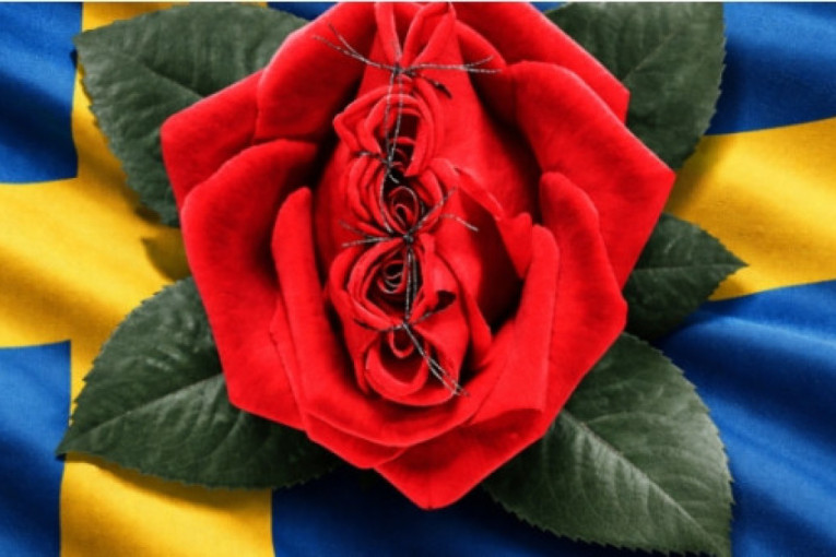 Švedska žrtvuje devojčice zbog političke korektnosti: Obrezivanje ženskih genitalija