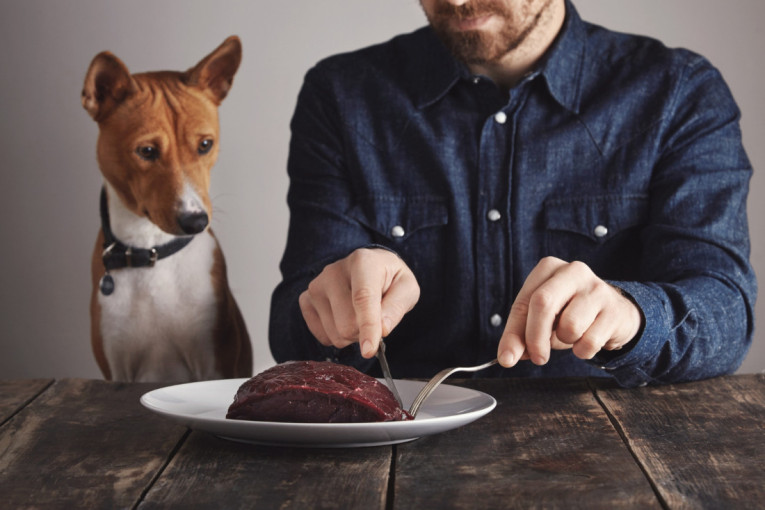 Neprijatan miris iz mačijeg toaleta je samo početak: Kada zapravo morate kompletno promeniti posip vaše ljubimice?
