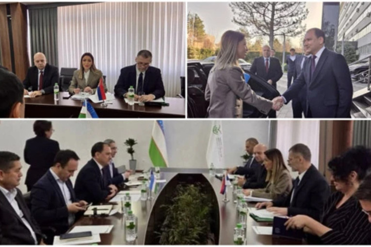 Mesarović se sastala sa predstavnicima Ministarstva poljoprivrede Uzbekistana: Fokus na povećanju spoljnotrgovinske razmene