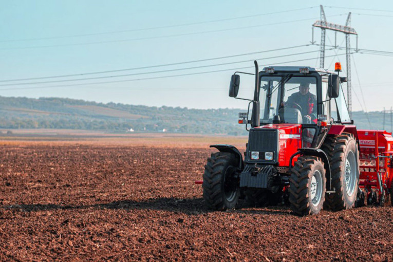 Od njive do trpeze, ali stvarno: Vizija ovog Banaćanina daje odlične rezultate! (FOTO)