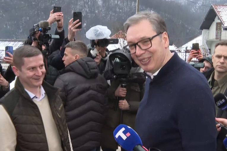 Marinika Tepić brutalno etiketirala Vučevićevu decu: Oglasio se prvi čovek Novog Sada