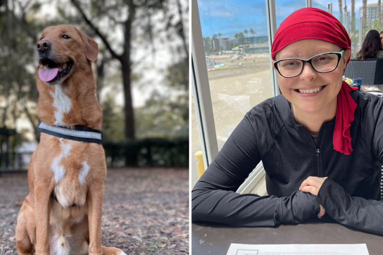 Veterinar otkrio zašto psi naginju glavu u stranu dok im pričamo