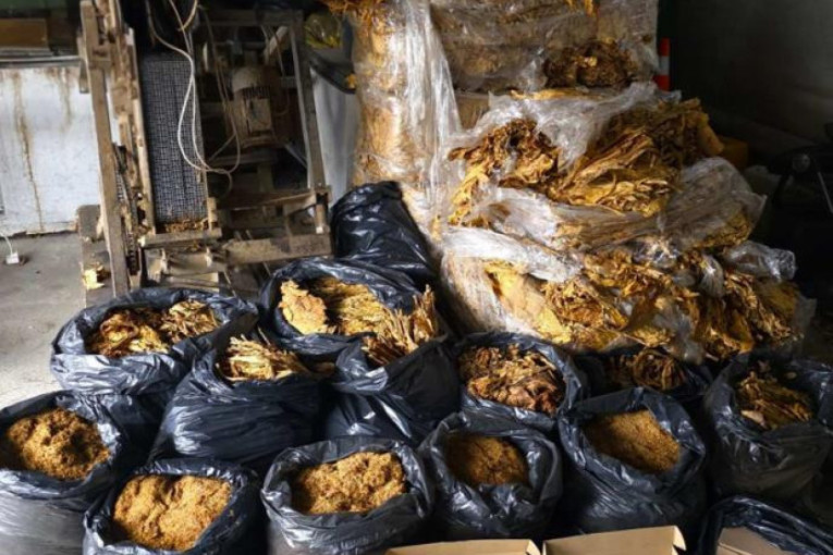 Oštetio budžet za milione: Velika zaplena u Golubincima, policija pronašla 430 kg duvana