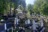 Jazavci upadaju na groblje i kopaju podzemne hodnike! Sve ih je više a šteta ogromna