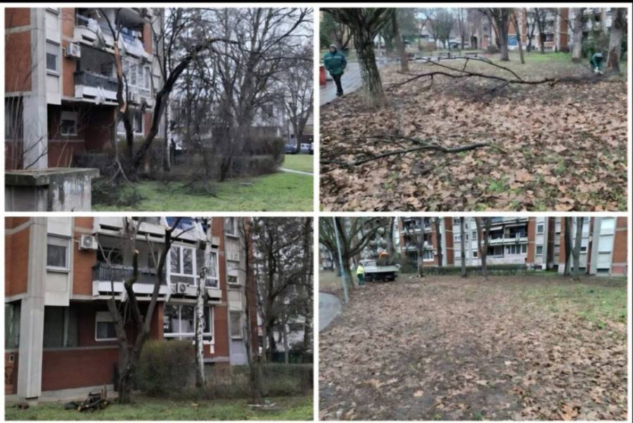 Velika akcija uređenja zelenih površina u Batajnici