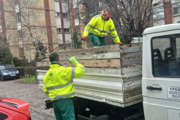 Velika akcija uređenja zelenih površina u Batajnici