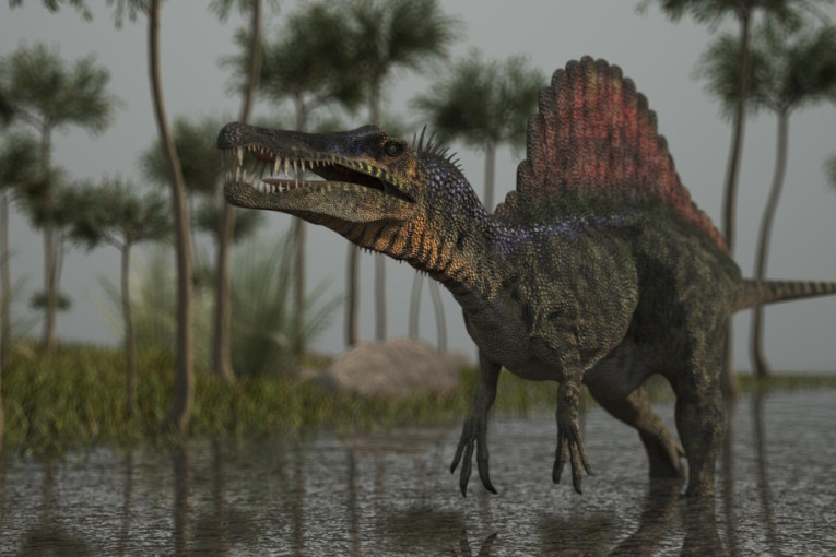 Otkrivena nova vrsta dinosaurusa: Kresta koju ima na glavi fascinirala naučnike (FOTO)