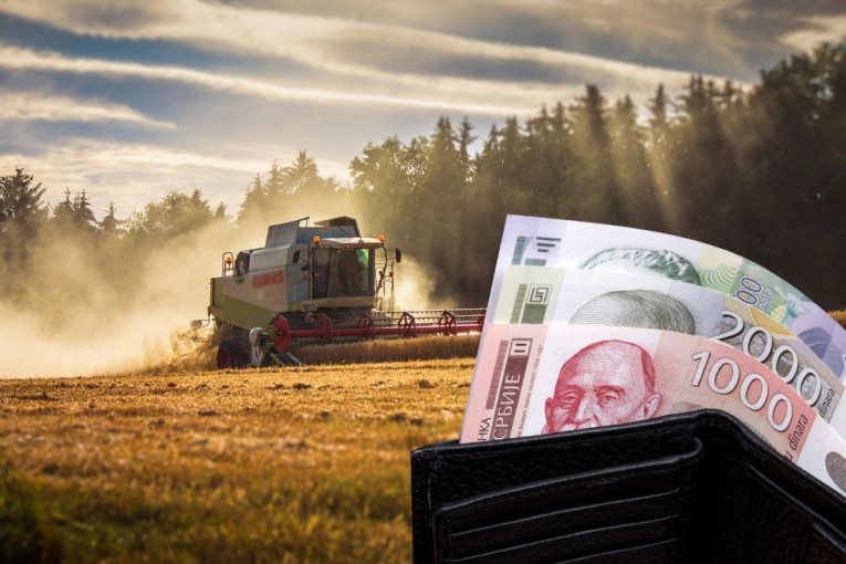 Nove odluke Ministarstva: Bez prelevmana na prasad za tov, a stiže namet za mleko u prahu