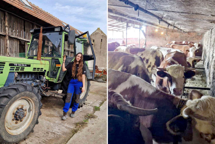 Sve ili ništa: Odluka o Vorner Brosu postaje globalni obračun milijardera