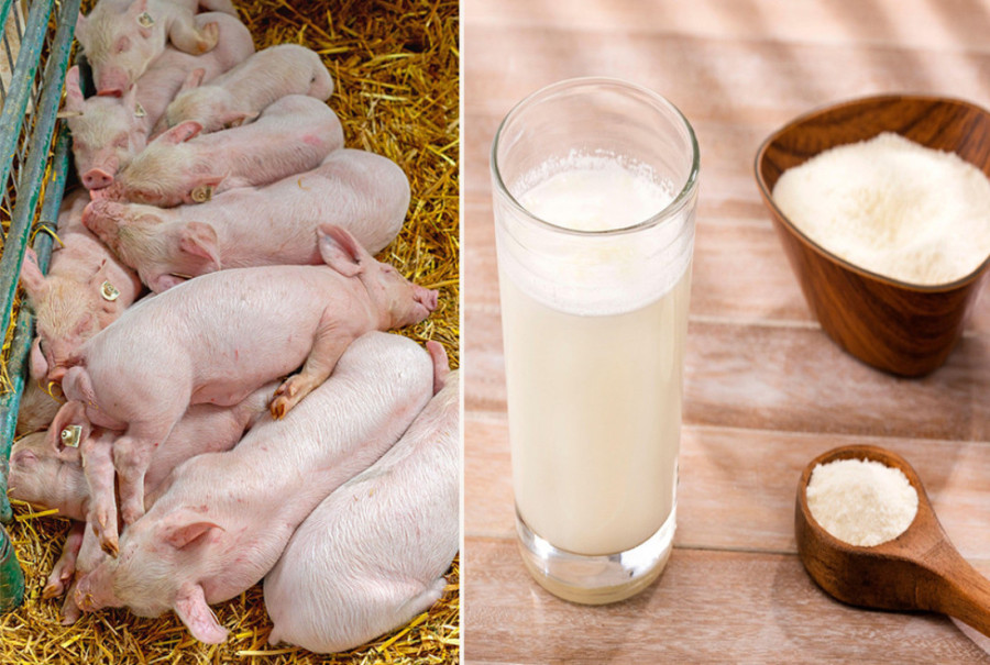 Oglasila se NBS: Otkriveno kakvo će stanje sutra biti sa kursom!