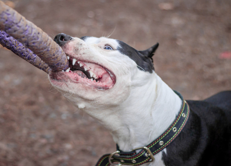 Misterija smrti mladića (19): Telo pronađeno u jezeru, tužilaštvo traži ovo!