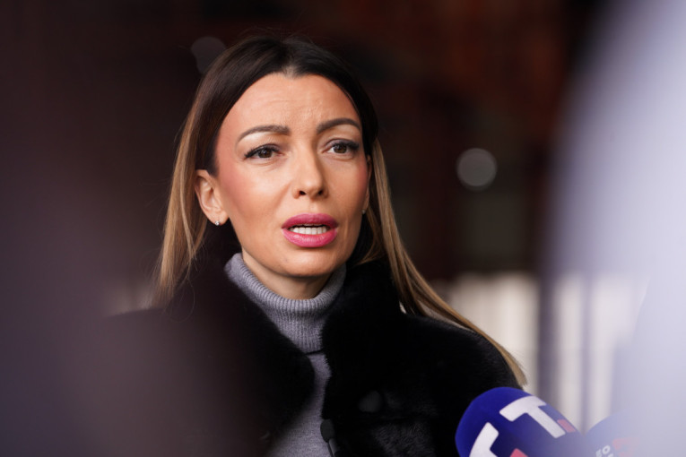 Adrijana Mesarović o dešavanjima u Kraljevu: Opasno okupljanje blokadersko-plenumaških pokreta