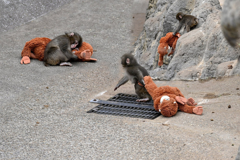 Ova optička iluzija se širi društvenim mrežama poput požara: Što duže gledate više ste zbunjeni (FOTO)