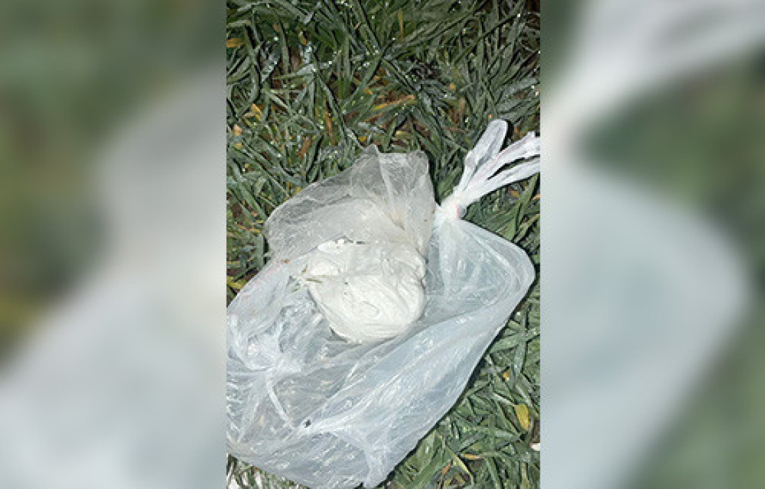 Dve odvojene akcije u Čačku: Zaplenjeni kokain, amfetamin i kanabis (FOTO)