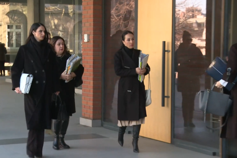 Miljana Kecmanović stigla u sud, danas se nastavlja suđenje