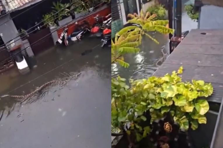 Pitoni preplavili ulice posle nevremena: Egzotična destinacija pod vodom, građani upozoreni da ne prolaze kroz nju (VIDEO)